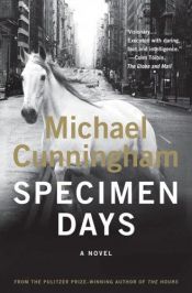book cover of Dias exemplares by Michael Cunningham