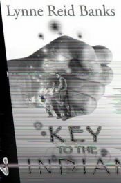 book cover of The key to the Indian by 琳妮·雷德·班克斯