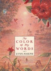 book cover of The Color of My Words by Lynn Joseph