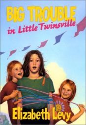 book cover of Big Trouble in Little Twinsville by Elizabeth Levy