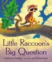 book cover of Little Raccoon's Big Question (EP) by Miriam Schlein