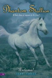 book cover of Phantom Stallion #11: Untamed (Phantom Stallion) by Terri Farley