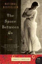 book cover of The Space Between Us by Thrity Umrigar