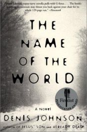 book cover of The Name of the World by Denis Johnson