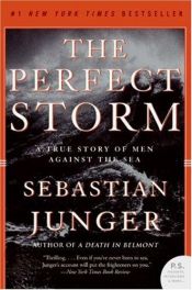 book cover of The Perfect Storm by Sebastian Junger