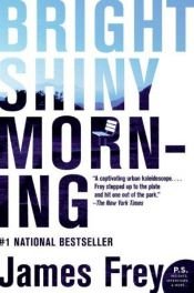 book cover of Bright Shiny Morning by James Frey
