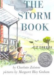 book cover of The Storm Book by Charlotte Zolotow