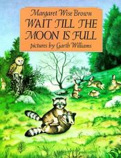 book cover of Wait Till the Moon Is Full by Margaret Wise Brown