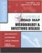 USMLE Road Map: Microbiology & Infectious Diseases (USMLE Road Map)