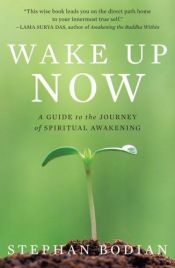 book cover of Wake Up Now: A Guide to the Journey of Spiritual Awakening by Stephan Bodian