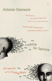 book cover of Looking for Spinoza by Antonio Damasio
