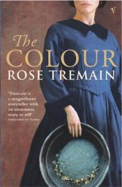 book cover of Il colore by Rose Tremain