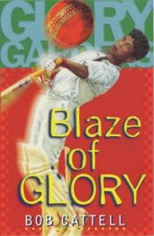 book cover of Blaze of glory by Bob Cattell