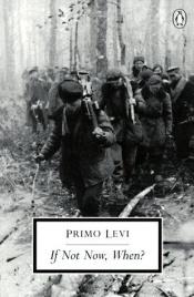 book cover of Si ahora no, ¿cuándo? by Primo Levi