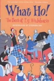 book cover of Pues Vaya ! Lo Mejor de Wodehouse by P. G. Wodehouse