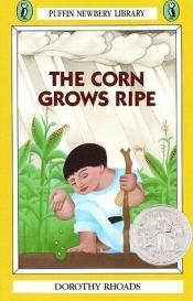 book cover of The Corn Grows Ripe by Dorothy Rhoads