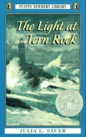 book cover of The Light at Tern Rock by Julia Sauer
