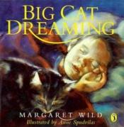 book cover of Big cat dreaming by Margaret Wild