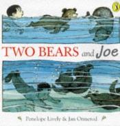 book cover of Two Bears & Joe by Penelope Lively