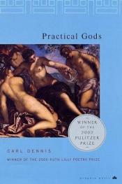 book cover of Practical Gods by Carl Dennis