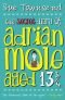 Salajane päevik : Adrian Mole, 13 3