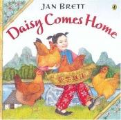 book cover of Daisy Comes Home by Jan Brett