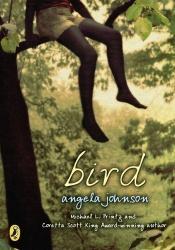 book cover of Bird by Angela Johnson
