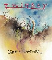 book cover of Twigboy by Stephen Gammell