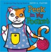 book cover of Peek in My Pocket by Sarah Weeks