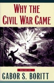 book cover of Why the Civil War Came by Gabor Boritt