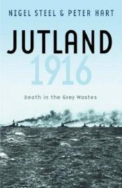 book cover of Jutland, 1916: Death in the Grey Wastes (Cassell Military Paperbacks) by Peter Hart