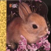 book cover of 10 Little Bunnies (Little Nugget) by Golden Books