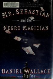 book cover of Mr. Sebastian and the Negro Magician by Daniel Wallace
