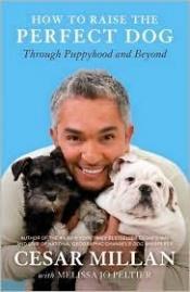 book cover of How to Raise the Perfect Dog: Through Puppyhood and Beyond. Cesar Millan with Melissa Jo Peltier by Cesar Millan