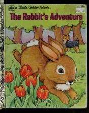 book cover of The Rabbit's Adventure by Betty Ren Wright