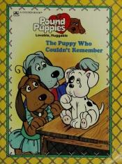book cover of The Puppy Who Couldn't Remember (Pound Puppies) (Over-sized Fiction) by Johnson Hill