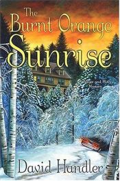 book cover of The Burnt Orange Sunrise: A Berger and Mitry Mystery by David Handler