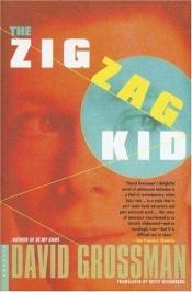 book cover of The Zigzag Kid by David Grossman