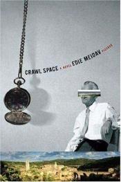 book cover of Crawl space by Edie Meidav