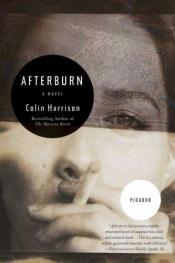 book cover of Afterburn by Colin Harrison