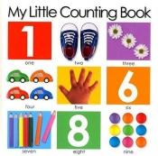 book cover of My Little Counting Book by Roger Priddy
