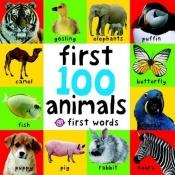 book cover of Big Board First 100 Animals (First Words) by Roger Priddy