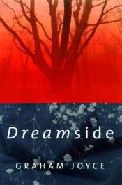 book cover of Dreamside by Graham Joyce