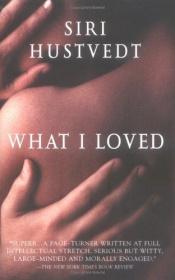book cover of Was ich liebte by Siri Hustvedt