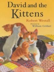 book cover of David and the Kittens by Robert Westall