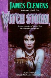 book cover of Wit'ch Storm by James Rollins