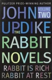 book cover of Rabbit Omnibus: "Rabbit Run", "Rabbit Redux" and "Rabbit Is Rich" by जॉन अपडाइक