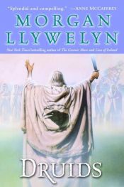 book cover of El Druida by Morgan Llywelyn