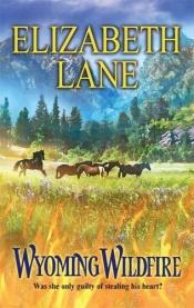 book cover of Wyoming Wildfire by Elizabeth Lane