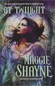 book cover of At Twilight by Maggie Shayne